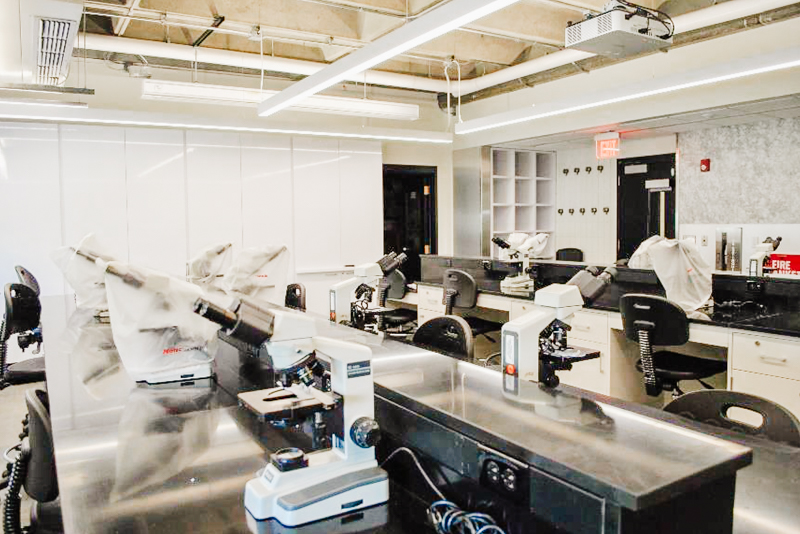 Laboratory
