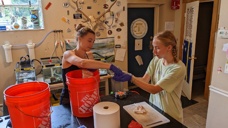 Dr. O’Brien’s research creates hands-on opportunities for students.