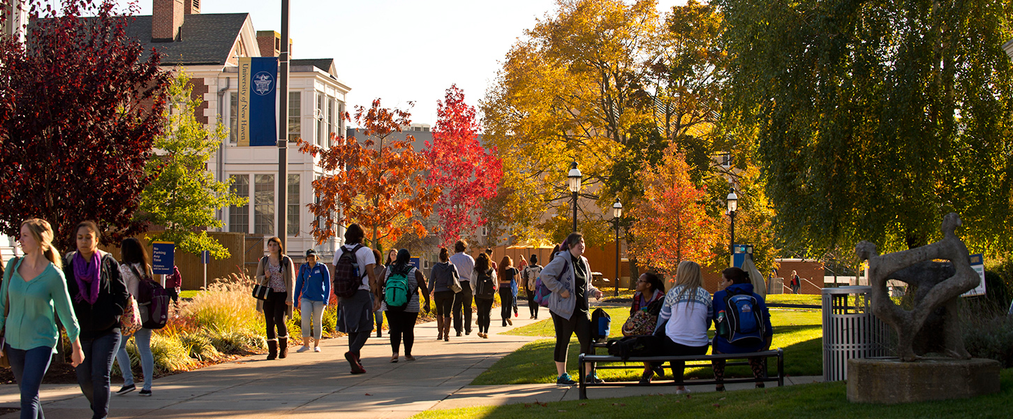 University of New Haven
