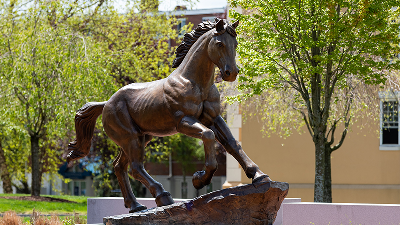 The Charger statue at the University of New Haven.