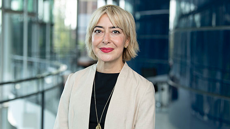Elif Kongar, Ph.D.