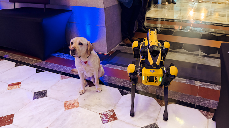 The University of New Haven's robot dog SPOT at the Center for Advanced Technology (CCAT) Day.