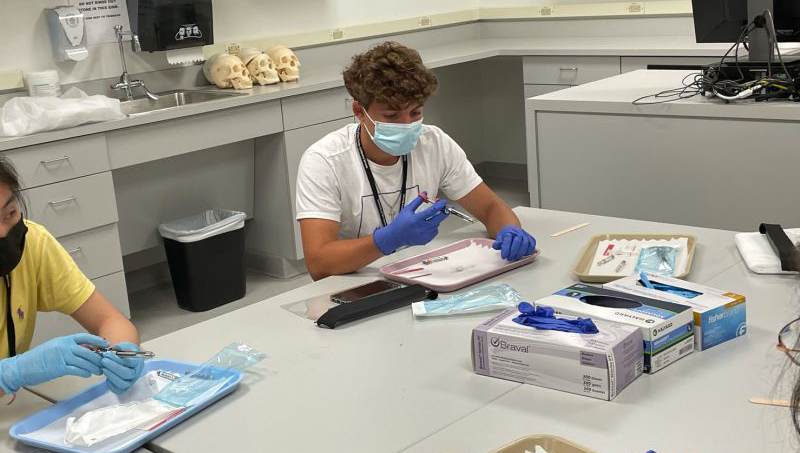 Dental hygiene students