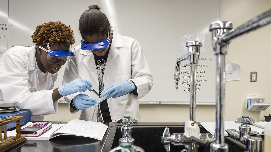 Students in lab