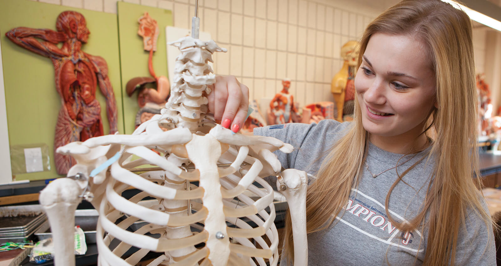 A Biomedical Engineering student examines a shoulder on a skeletal model.