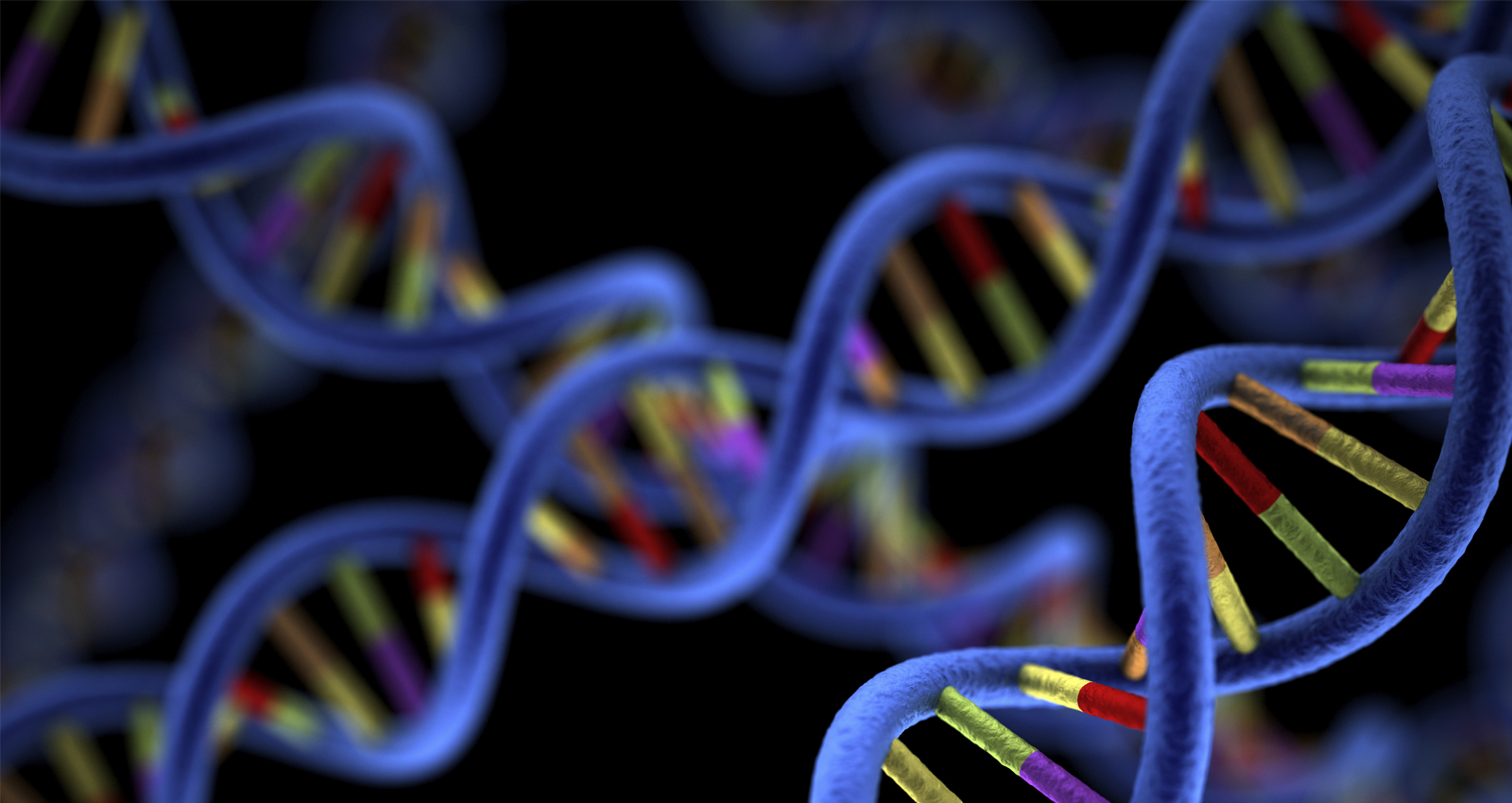 DNA graphic