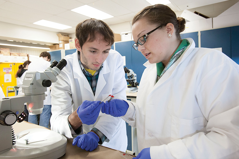 Students in laboratory