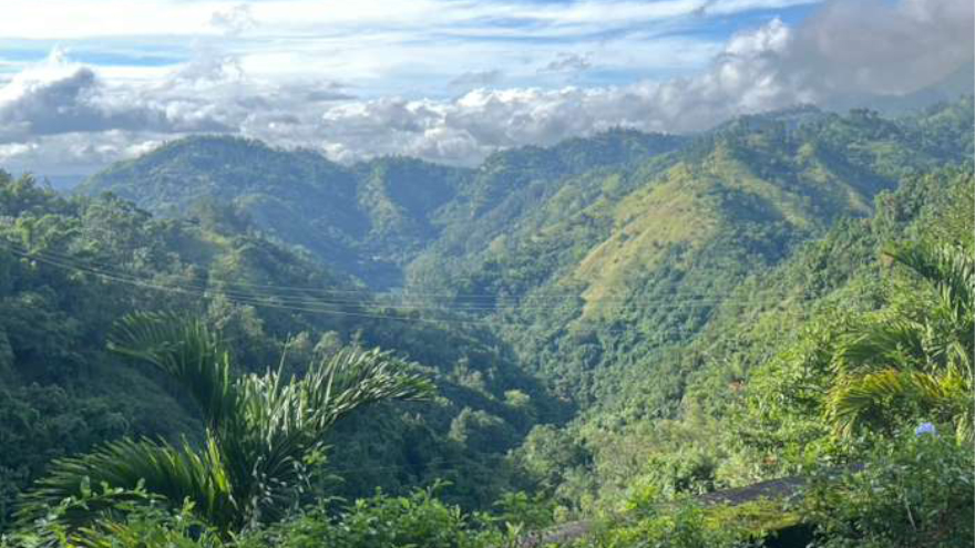 jamaica-scenic-view