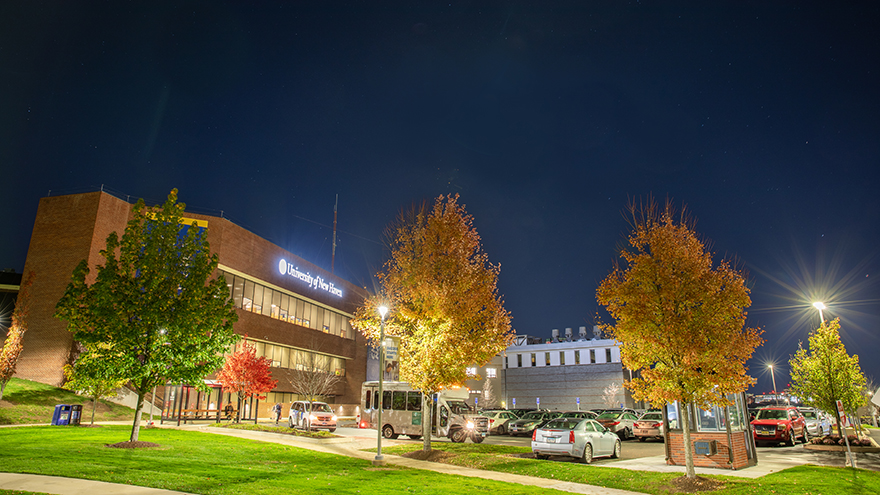night-library