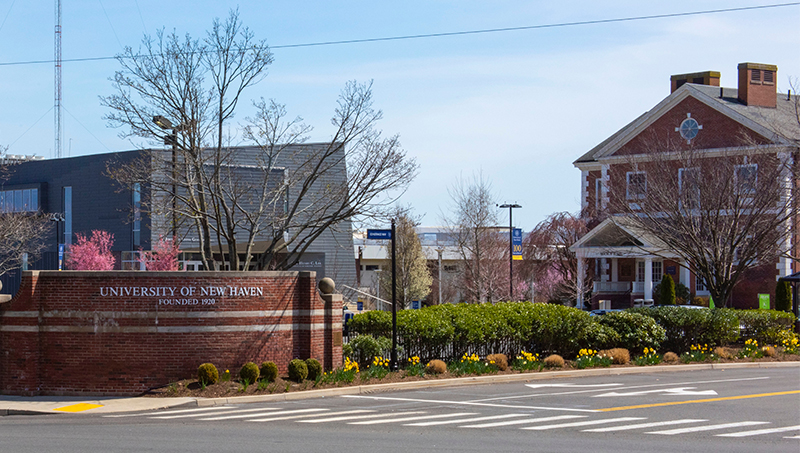 The university of New Haven campus
