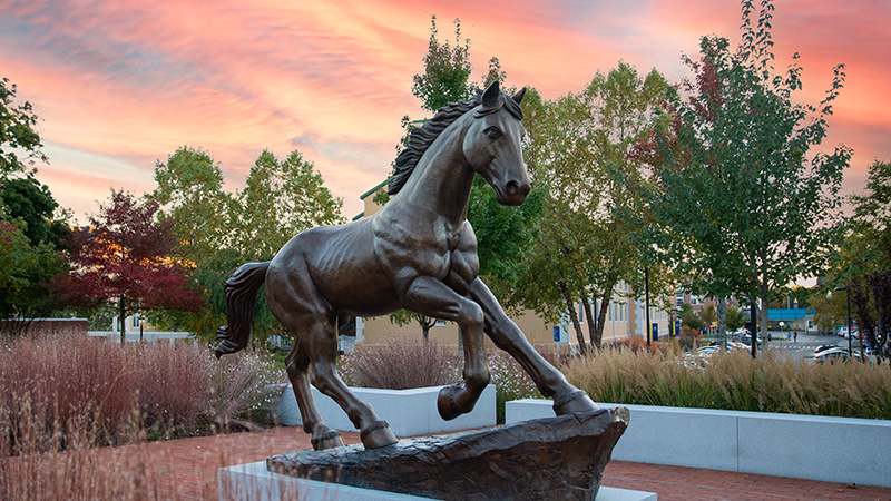 The Charger statue at the University of New Haven.