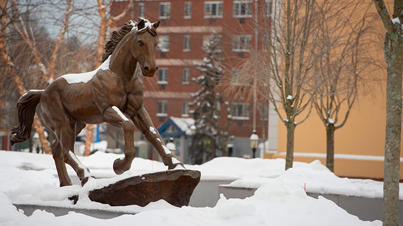 The Charger statue at the University of New Haven.