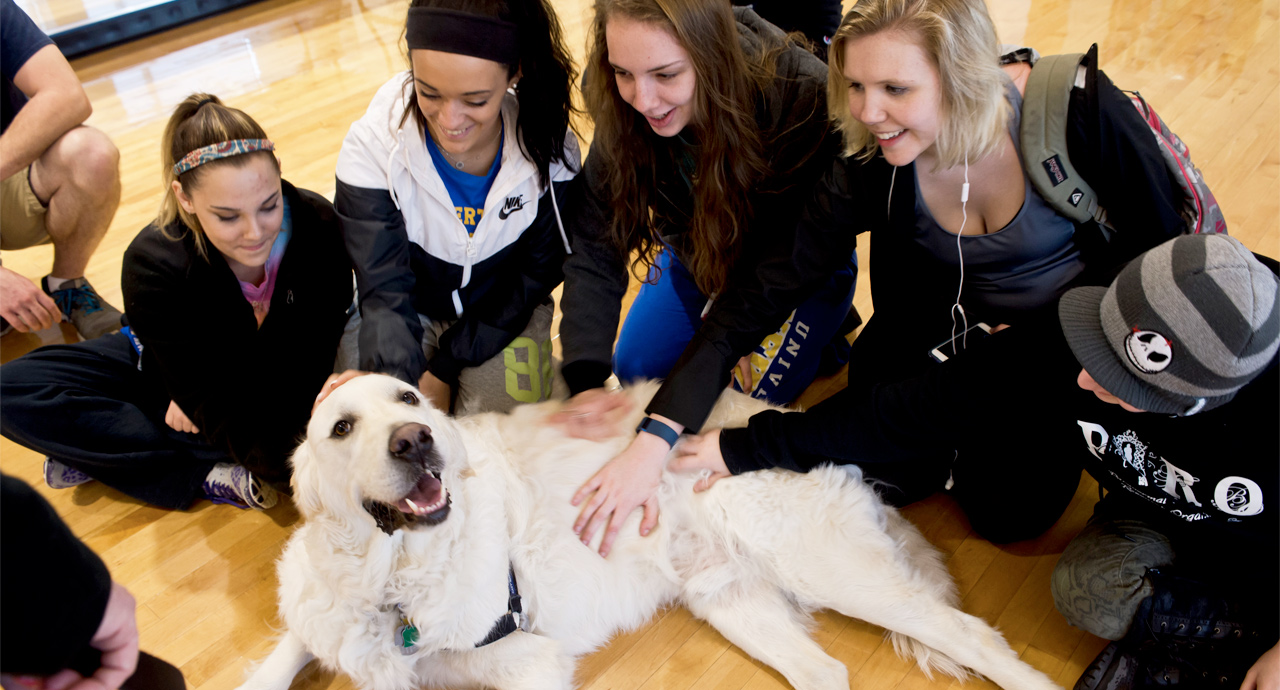 Counseling Services Director Offers Tips to Cope with Anxiety of Starting College