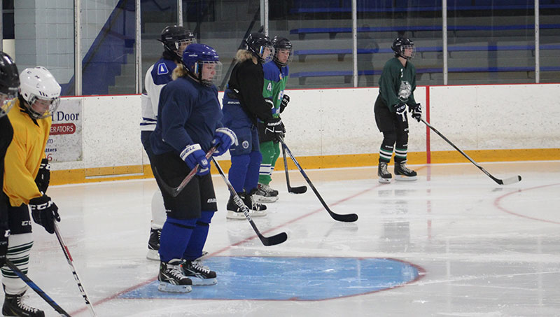 Image of the Women/U+0026#x27;s Hockey Team