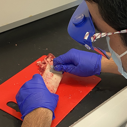Image of Cody Silverman /U+0026#x27;22 preparing beef bone as part of his project