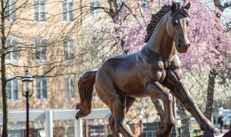 The Charger statue at the University of New Haven.