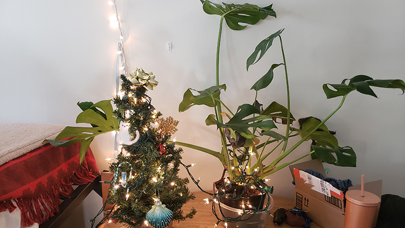 Beatrice Glaviano ’26 finds ways to brighten her space.