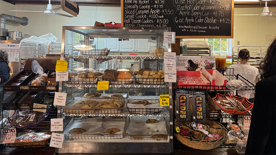 beatrice-bfc-pastry-selection