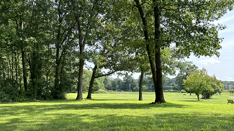 POV: You finally go outside and touch grass.