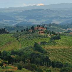 Italian countryside