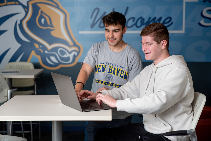 Two students working at laptop