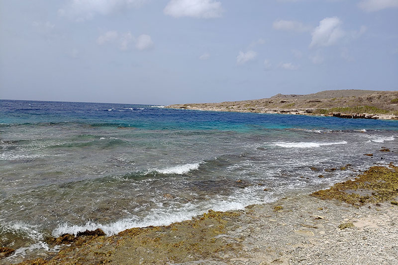 Coastline